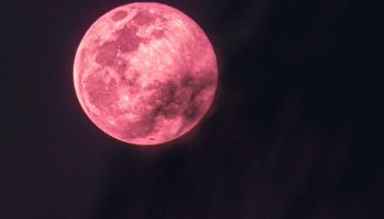 The exact time to see April's Full Pink Moon Reaching its Peak of Brilliance