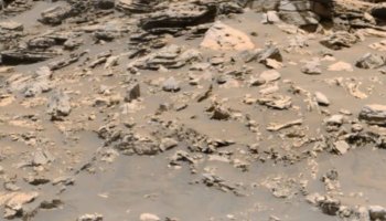 An alien researcher found an 'elephant-like creature' on Mars