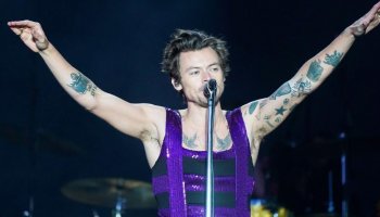 The University of Texas will offer a course on Harry Styles