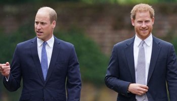 Princes William, Harry, and Charles officially apologized for their controversial interview with Princess Diana
