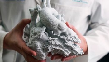 The Ten Bizzare 3D-Printed Things