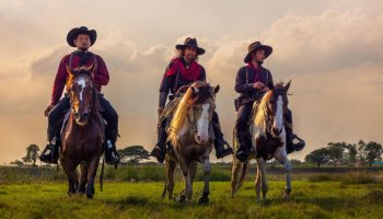 'How To Be A Cowboy' Review