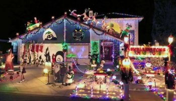 You must know everything about ABC, The Great Christmas Light Fight 2022