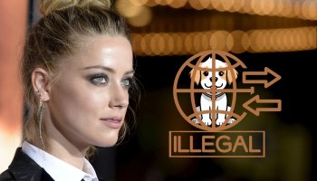 Amber Heard Will Not Face Further Charges Over 2015 Illegal Import Of Her Dogs Into Australia
