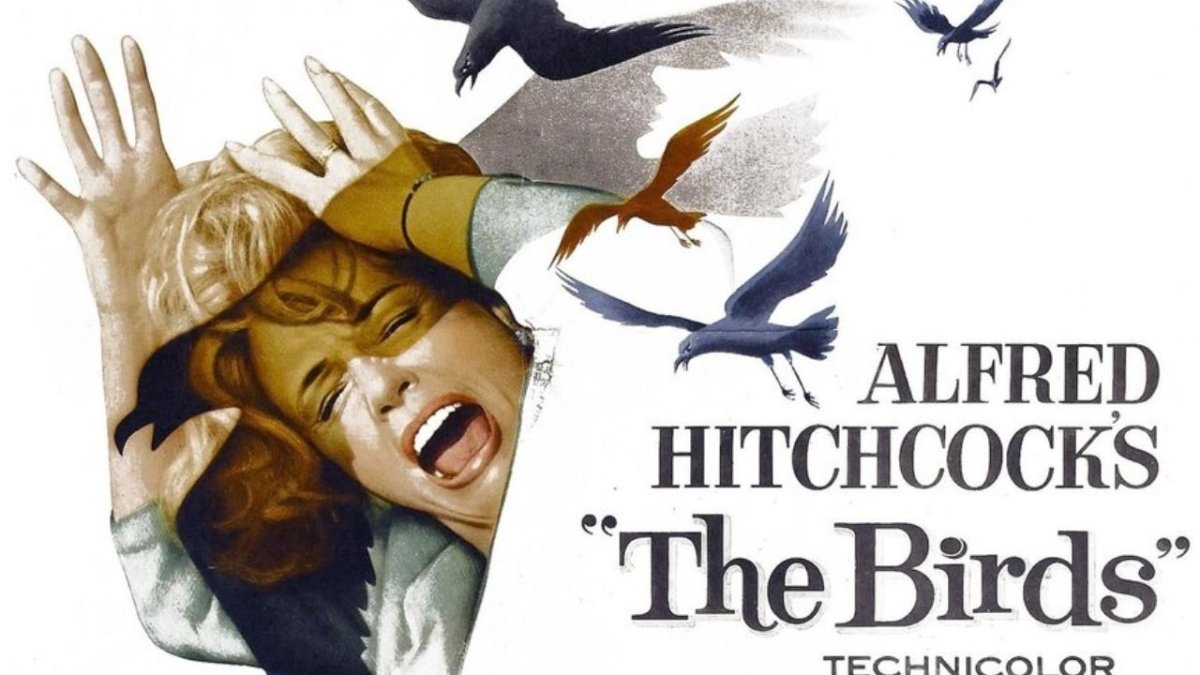 10 Hitchcock Thrillers That Will Keep You On The Edge Of Your Seat