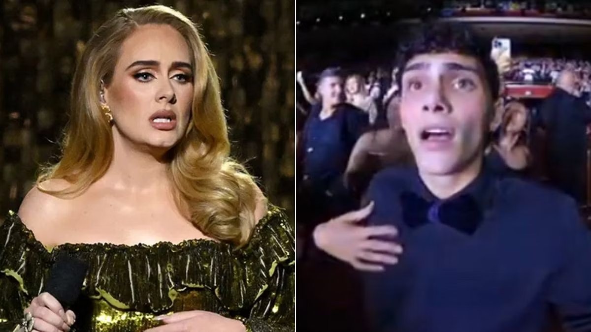 Adele Stops Vegas Show To Protect A Fan, Troubled By Security 